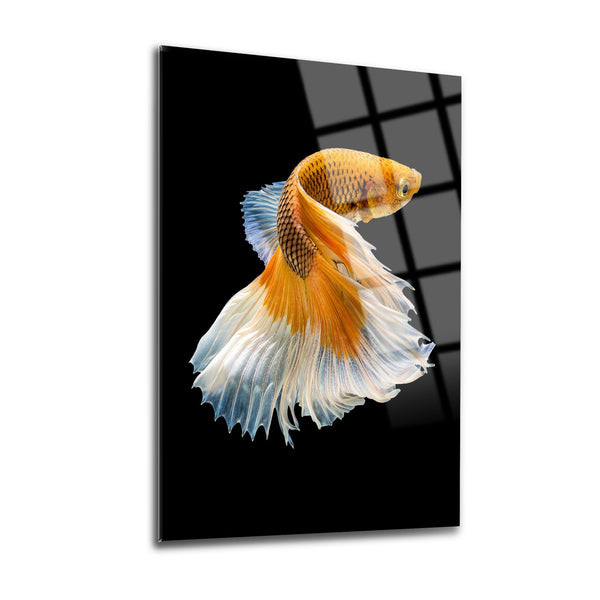 Fish Wall Decor