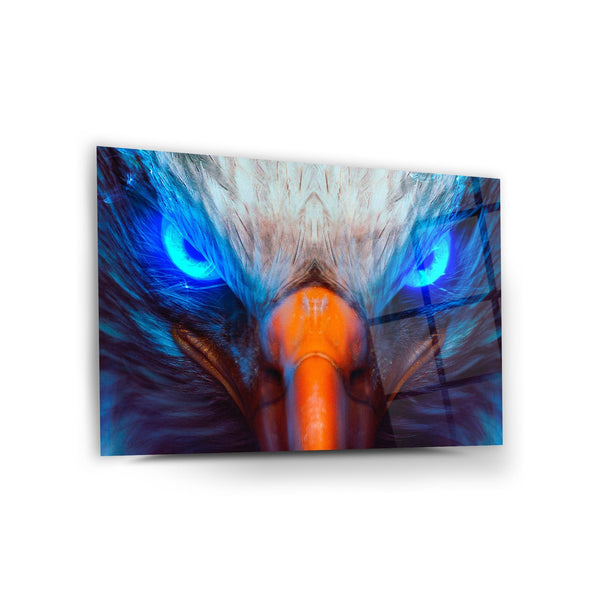 Hawk Eye Wall Decor