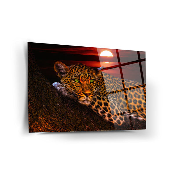 Leopard Wall Decor