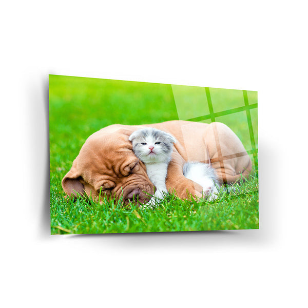 Dog and Cat Wall Decor