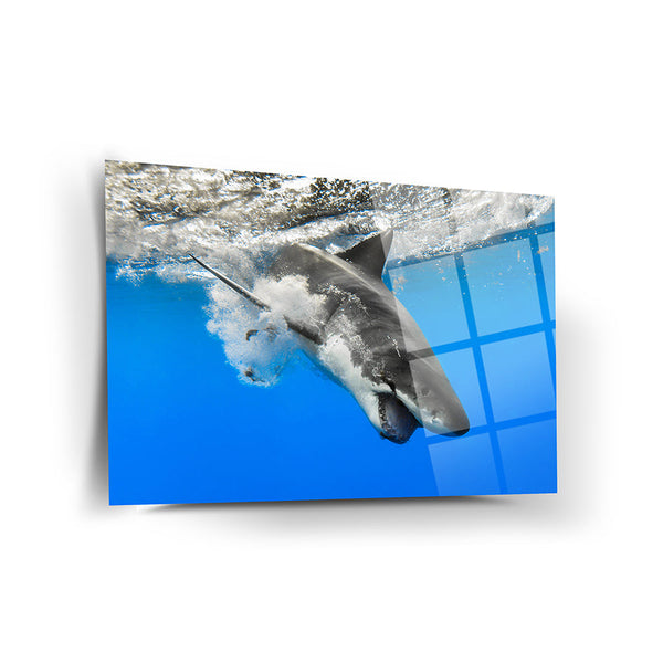 Shark Wall Decor