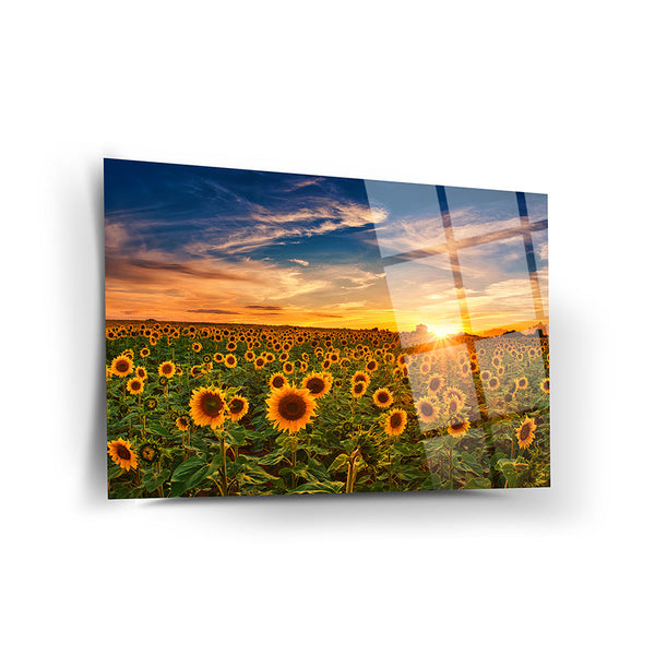 Sunset Wall Decor