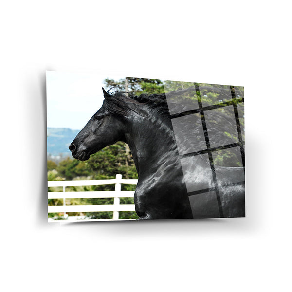 Horse Wall Decor