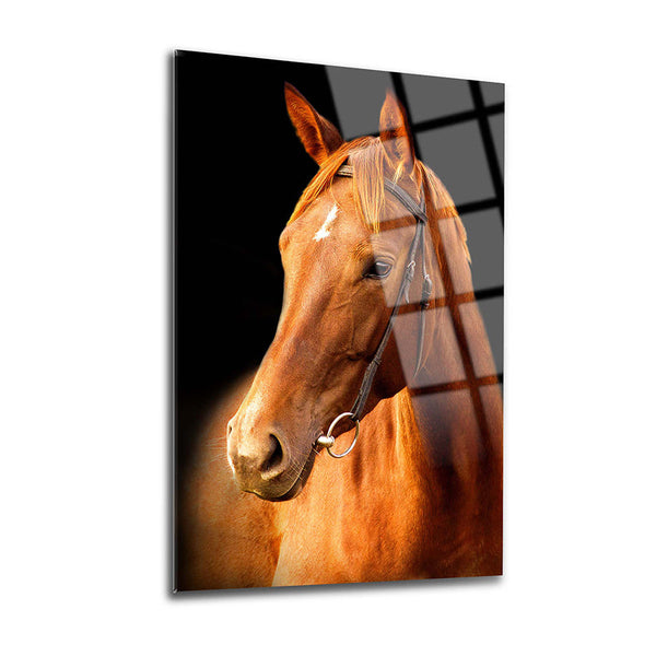 Horse Wall Decor