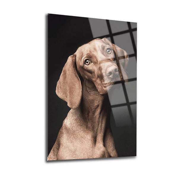 Dog Wall Decor