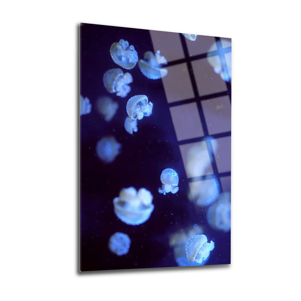 Jellyfish Wall Decor